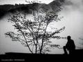 izel   k�le gibi