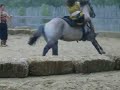 Fratelli Equestrian Arts Show number 1