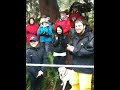 See video