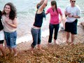 brighton tengerpart vörösmarty gimnázium 11.a brighton tengerpart vörösmarty gimnázium 11.a