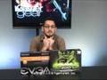 TigerTV Screen Test: Alberto