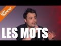 Stéphane Poirier : Jeux de mots et humour sur la langue française