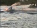 My First Flat Water Barrel Roll