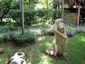 COSTA RICA  - TROPIC Real Estate; www.tropic-realestate.com