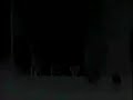 Jack Franjinha contra o mosquito elétrico (1998. 1'10)