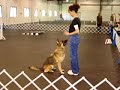 Open Obedience Simpsonville, Kentucky