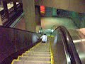Escalator Slide Gone Wrong