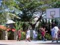 SBA Mater Boni Infimos (nba commenrcial)