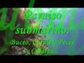videos de (1 de 2 ) Under The Sea-Paraiso Submarino, buceo, corales, peces y colores.wmv