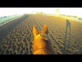 Seventuff - EquiSight Jockey Cam at Turf Paradise