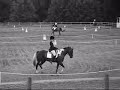 Fair Hill Dressage