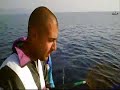 lampuga onda azzurra