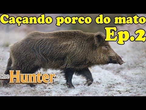 Caçando porco do mato