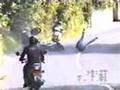 burro de moto
