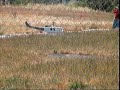 Turbine Huey - Bayside R/C Fly-in Turbine Huey - Bayside R/C Fly-in