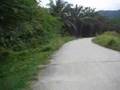 videos de 5 minutes thru paradise
