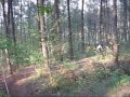 canido bike 2