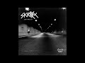 Skrillex – Skrillex- The Reason
