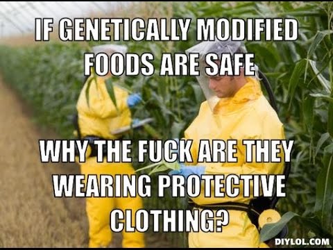 Monsanto Caused 291,000 Suicides In India
