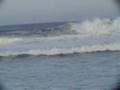 Puerto Escondido Zicatela HUGE waves Vicious surf wipe out