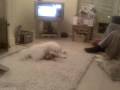 Sophie's first video
