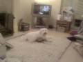 Sophie's first video