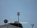 Industrial Park Sentry 16V1T-B - Alert Mode - Dickson, TN