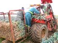 same saturno 80 4wd harvesting leek