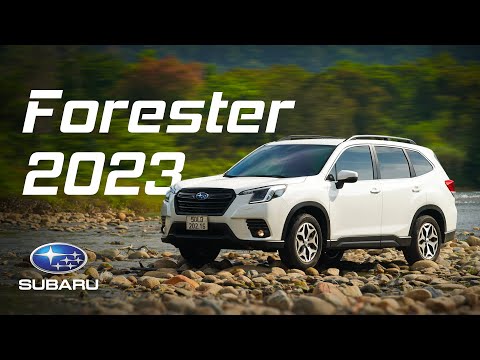 Trải nghiệm Subaru Forester 2023: Phuộc mới êm hơn, EyeSight 4.0 phanh mượt và chính xác