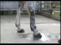Cold hosing a flexor tendon or suspensory ligament