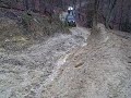 Uwharrie - Daniel 12/13/09