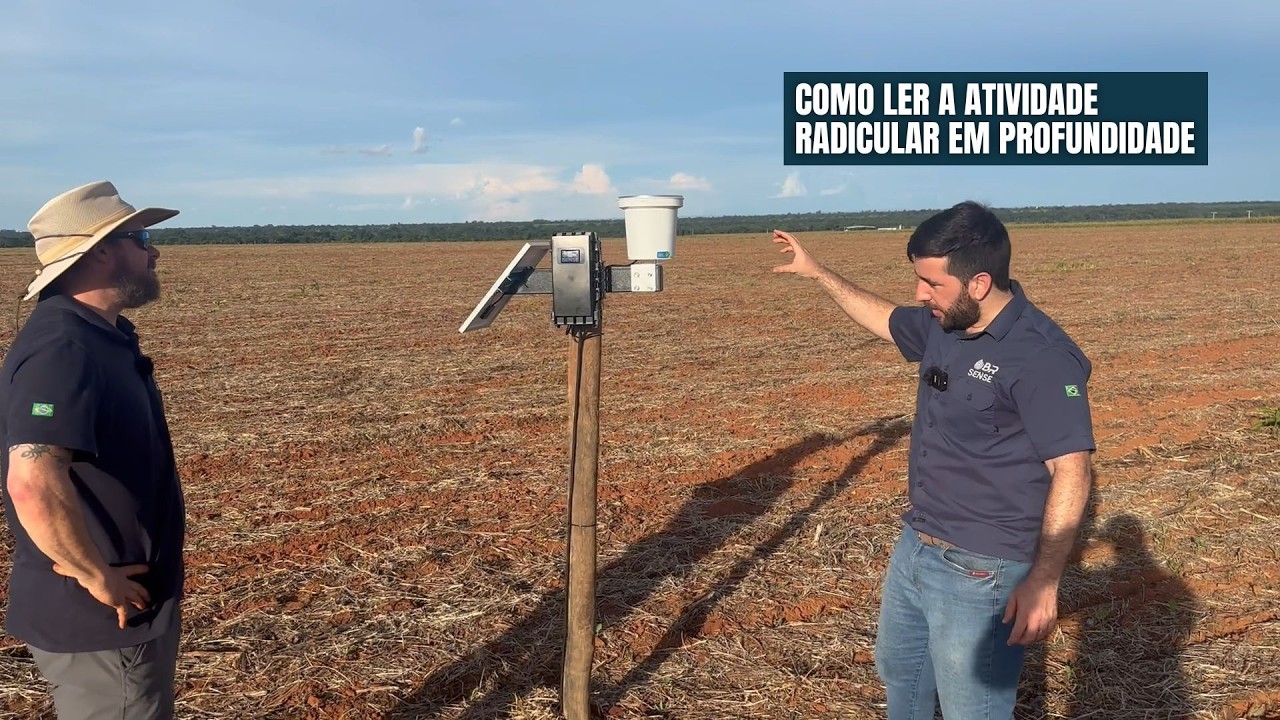 TUDO O QUE VOCÊ PRECISA SABER SOBRE SONDAS DE UMIDADE E ATIVIDADE RADICULAR