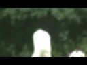 Search Video