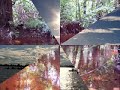 region de la amazonia Colombia