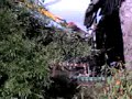 Queens Building Demolition