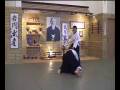Daniel Toutain - Aiki Shuren Dojo
