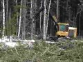 Tigercat 845B Tigercat 845B
