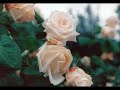 La chanson des vieux amants