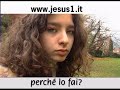 PERCHE\
