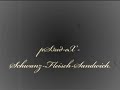 pS3ud-eX - Schwanz-Fleisch-Sandwich