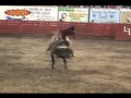 Suelo! Picho de Colima y Gorrión de Nayarit
