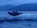 Raven New Ribcraft rib Raven New Ribcraft rib
