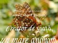 Fragilitate Fragilitate
