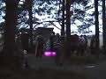 Mett�ss� joskus 2001