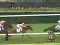 新馬動画12