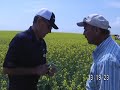 Mike Dolinski On Root Health in Canola