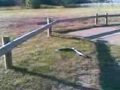 SMASHING A RAZOR SCOOTER