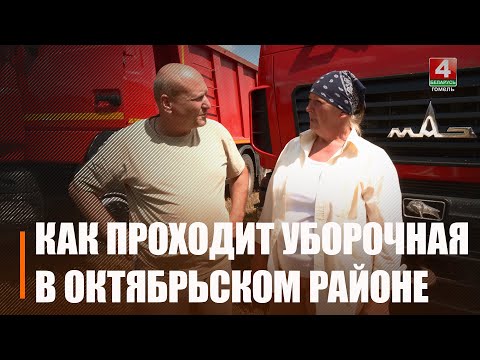 Более 60-и семейных подрядов задействовано в уборочной 2025-го на Гомельщине видео