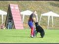 Schutzdienst Schäferhund Schutzdienst Schäferhund