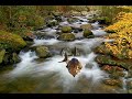 Cat Fish River
